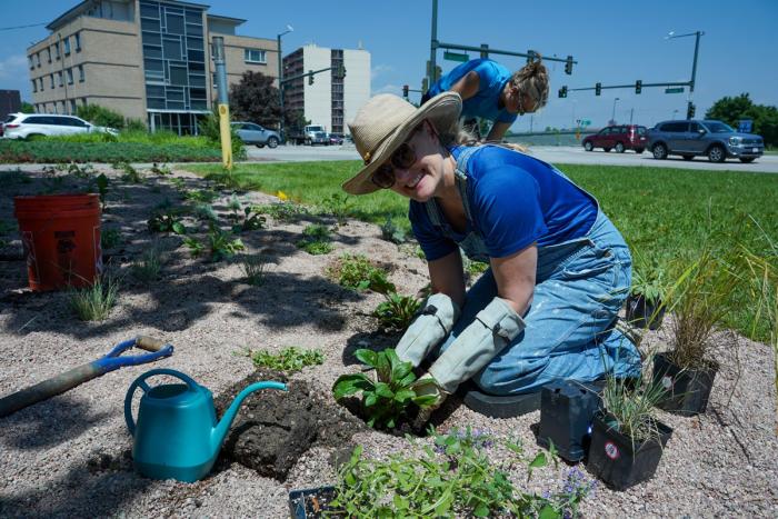 TAP: Melissa Botteicher planting water-wise plants
