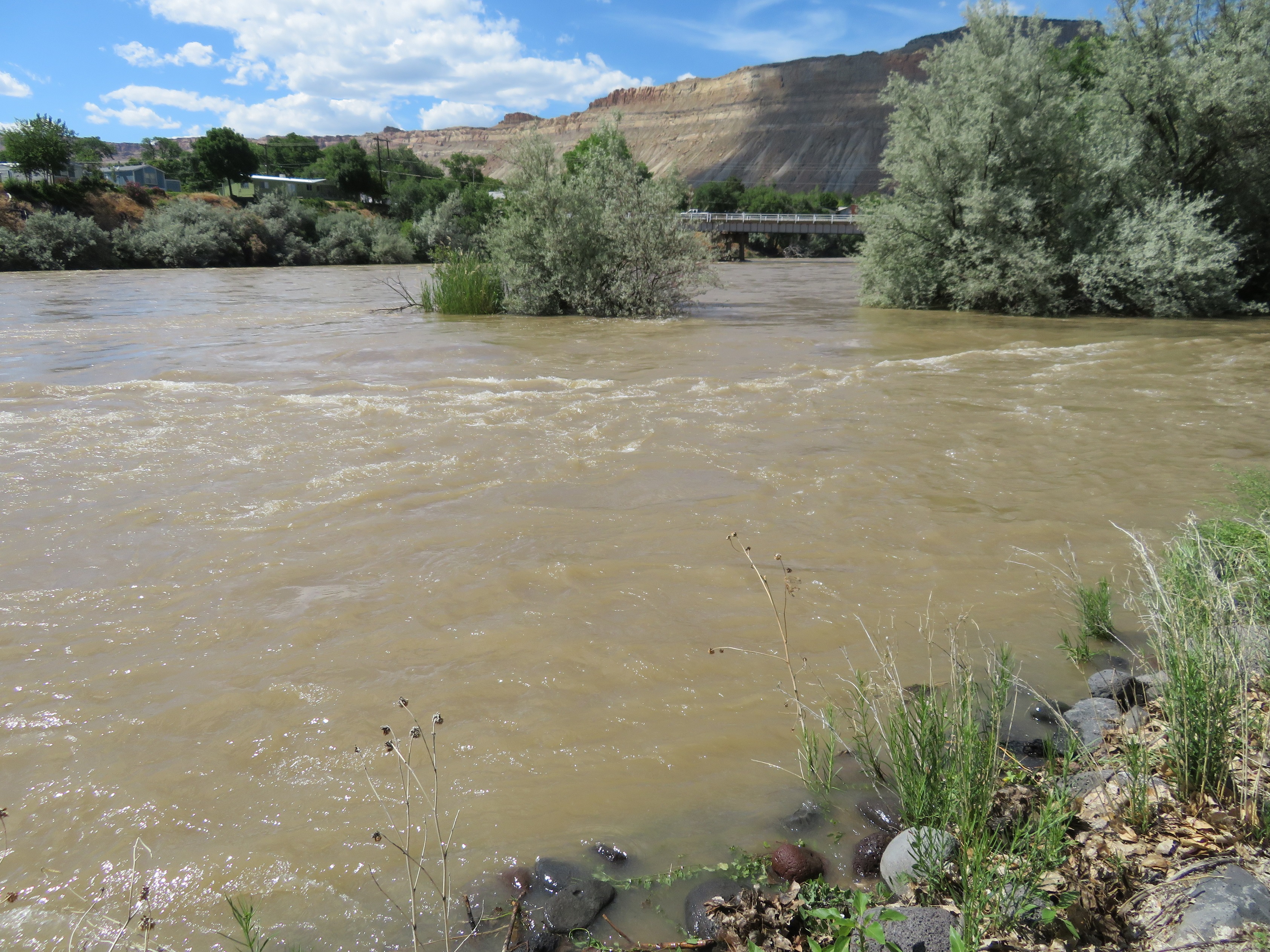 This picture shows water up to the Colorado River running fast near Palisade.