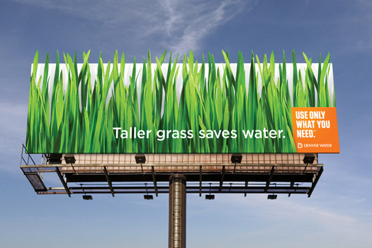 Tall grass saves water