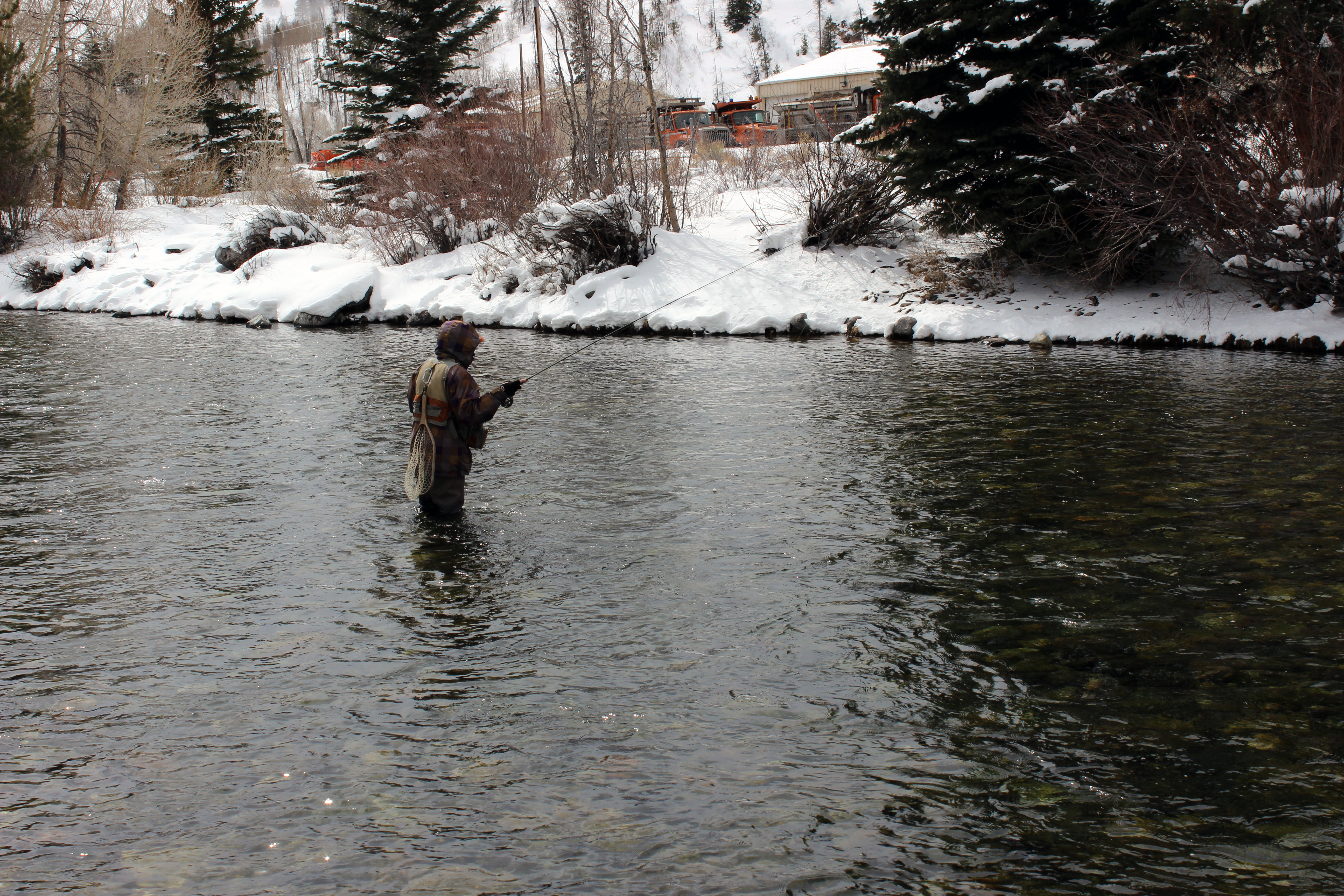 Angler in Blue River