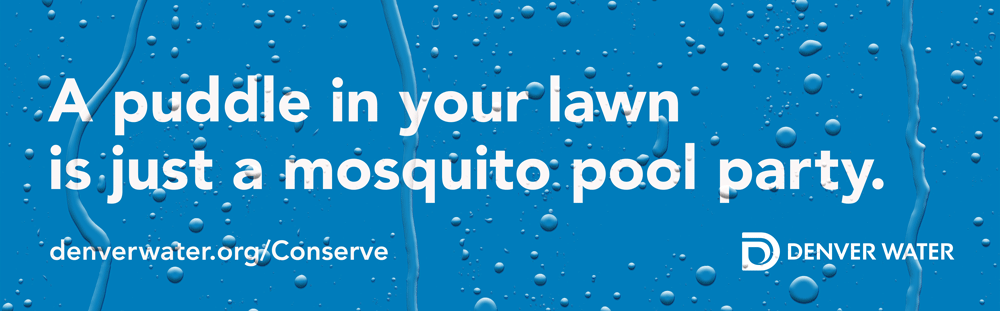 A puddle in your lawn is a just a mosquito party.