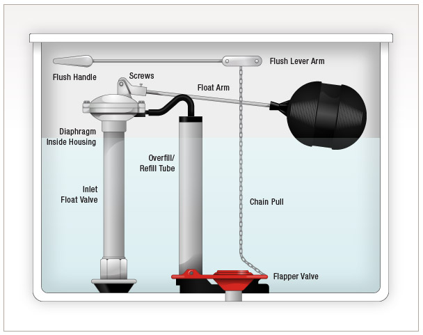 Illustration of toilet components