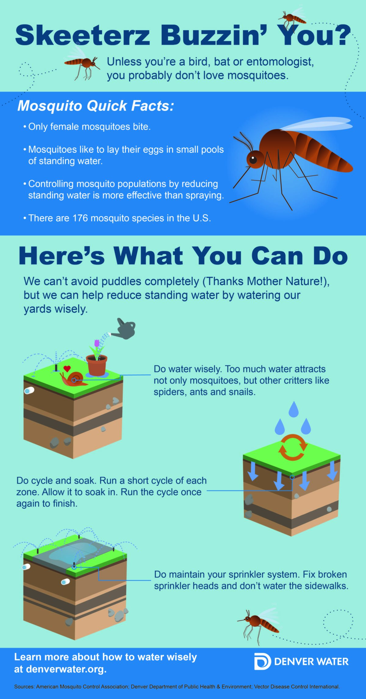 Skeeters Buzzin You infographic by Riah Eastman 09 19 best practices overwatering irrigation mosquitoes watering