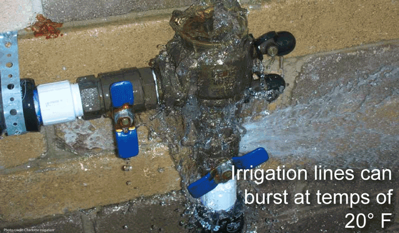 gif explaining why you should not turn on your irrigation system in the early spring