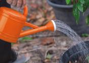 Orange watering can.