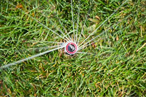 Circular sprinkler rotary nozzle