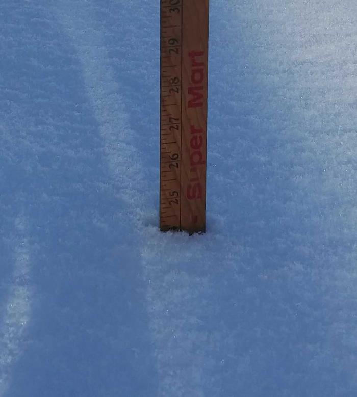 A yardstick in the snow shows 24 inches of snow. 