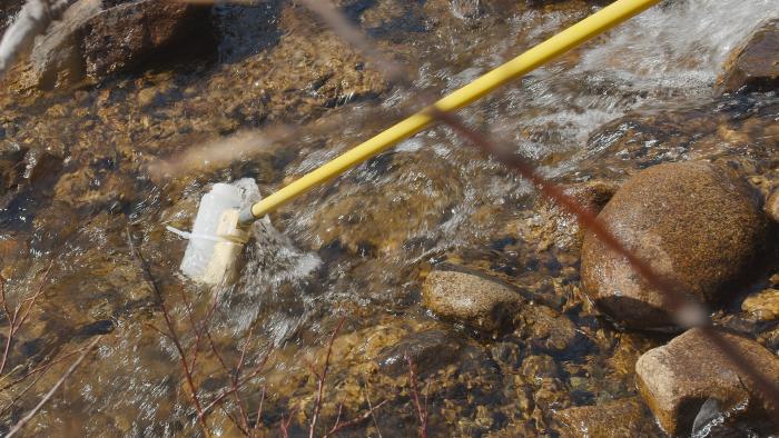 A bottle attached to a pole scoops up a water sample from a mountain creek.