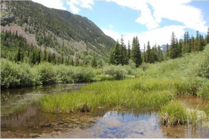 A scene from the Mammoth Gulch area that is part of the scenic Toll Property near the east portal of the Moffat Tunnel. Denver Water is conveying more than 500 acres of this area to the Forest Service to manage for public access. Photo credit: Denver Water.
