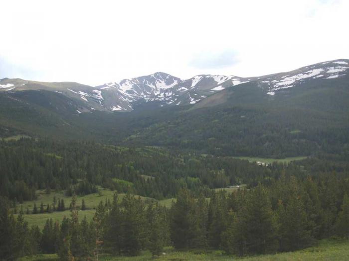 A green expanse of mountains with the snow-capped Continental Divide in the distance.