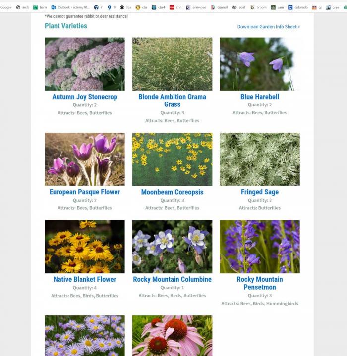 A web page full of different flowers. 