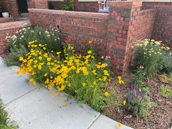 Yellow flowers in front of a home's low brick front wall. 