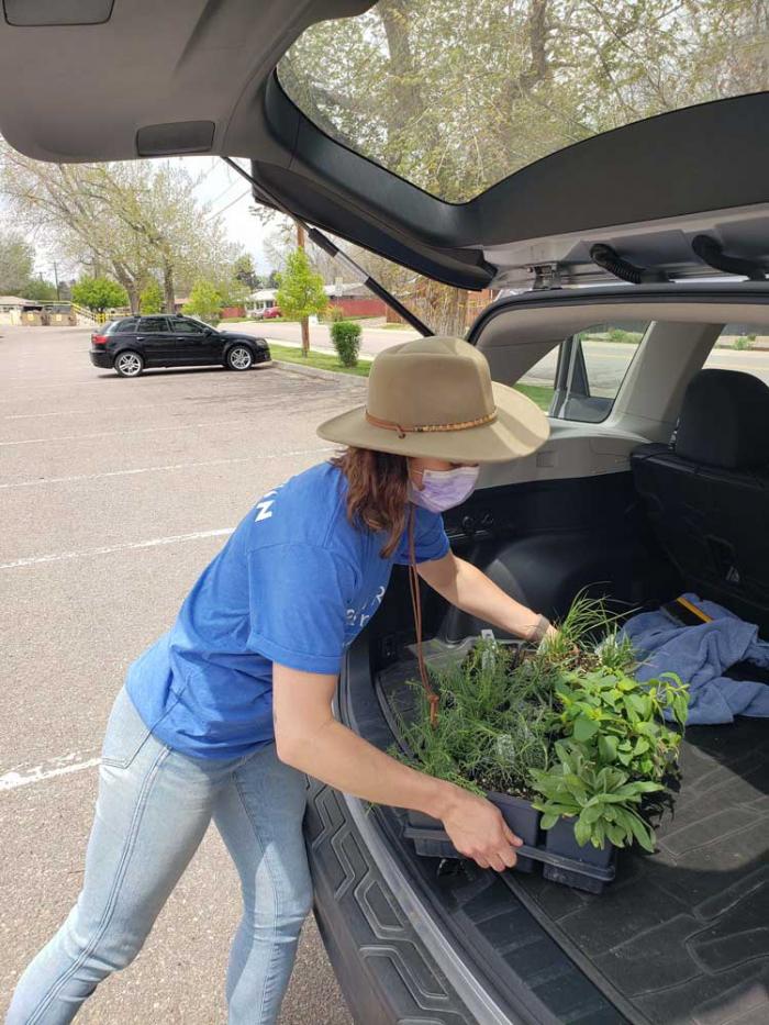 A woman in a hat and mask loads a flat of plants into the back of a car.