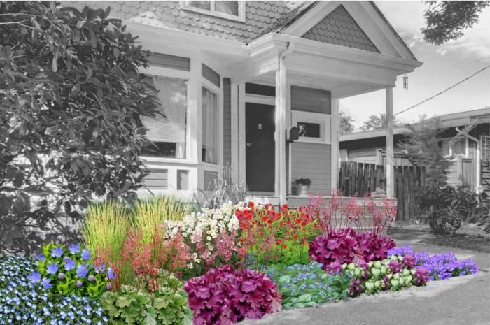 A rendering of full-grown flowers in many colors as the front landscape of a home.