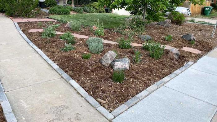 Garden with native plants and mulch