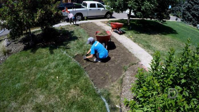 Man removes grass