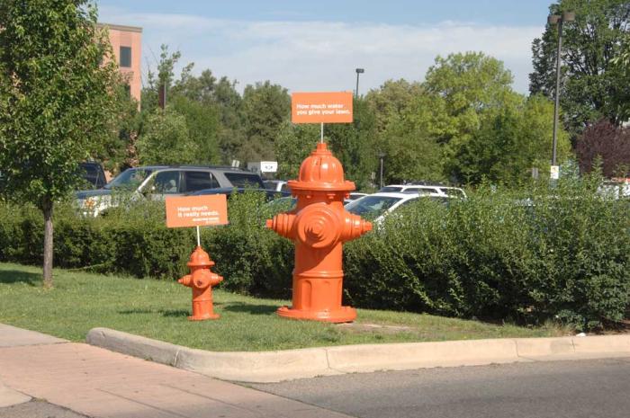 Two orange fire hydrants