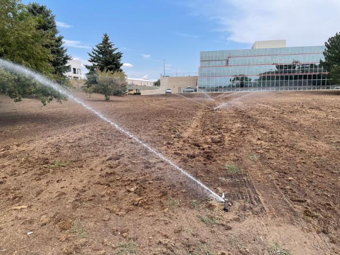 Sprinklers watering new seed