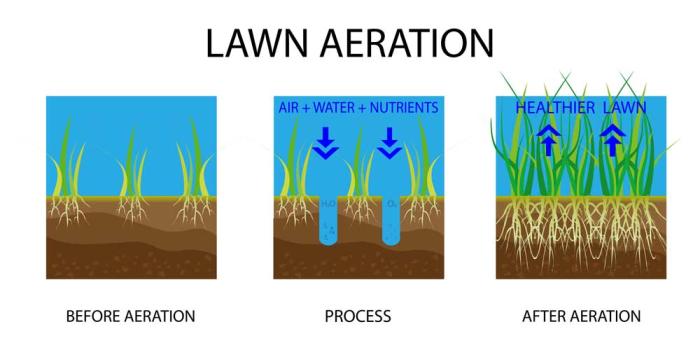 Illustration of the benefits of aeration, showing that air, water and nutrients go into the holes in the lawn, producing stronger, healthier roots.