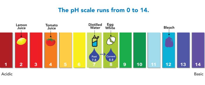A scale showing the levels of pH, with acidic items on the left and acidic items on the right. 