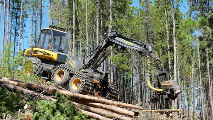A machine removes trees on a steep slope at Breckenridge
