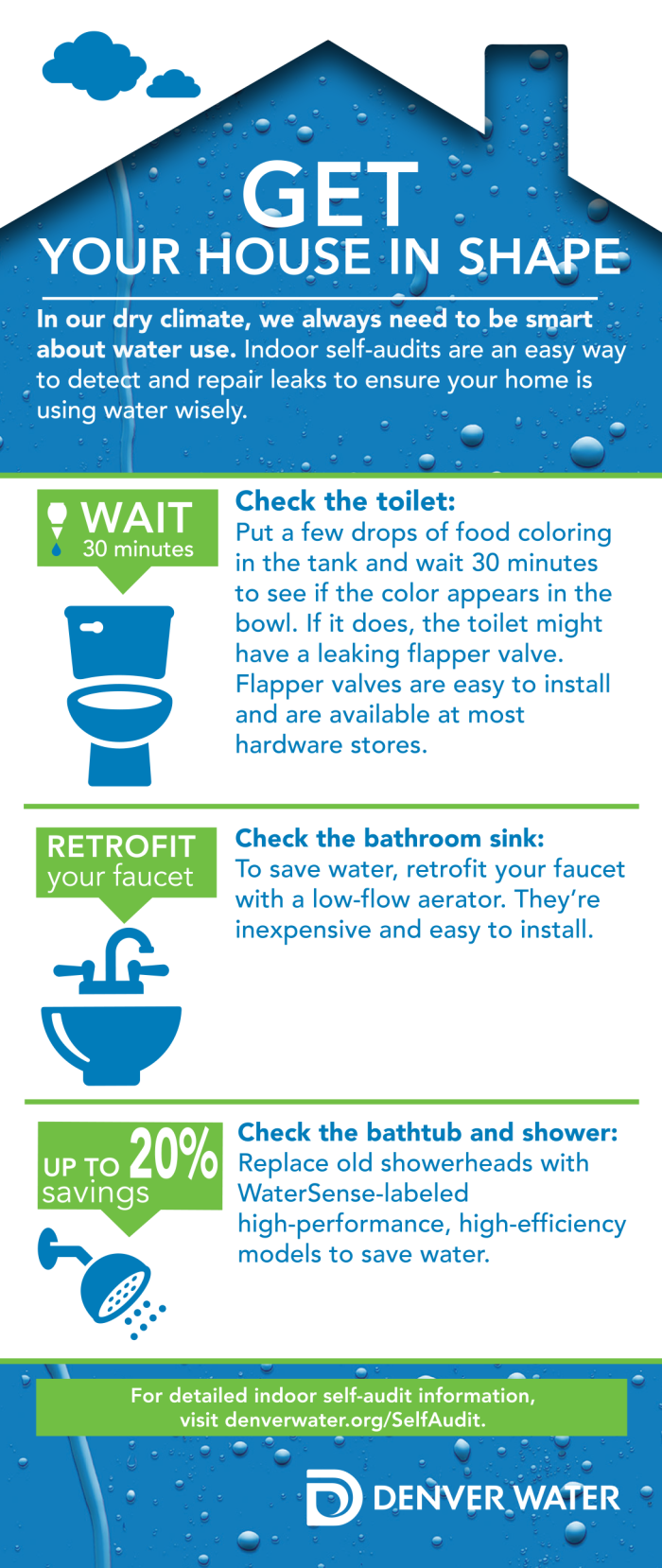 An infographic with 'get your house in shape' with tips to find leaks in the bathroom and kitchen.