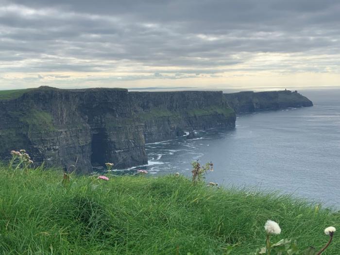 Green grass on cliff of Moher