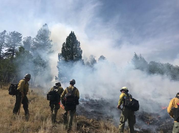 Firefighters surrounded by wildfire smoke with trees in the background. 