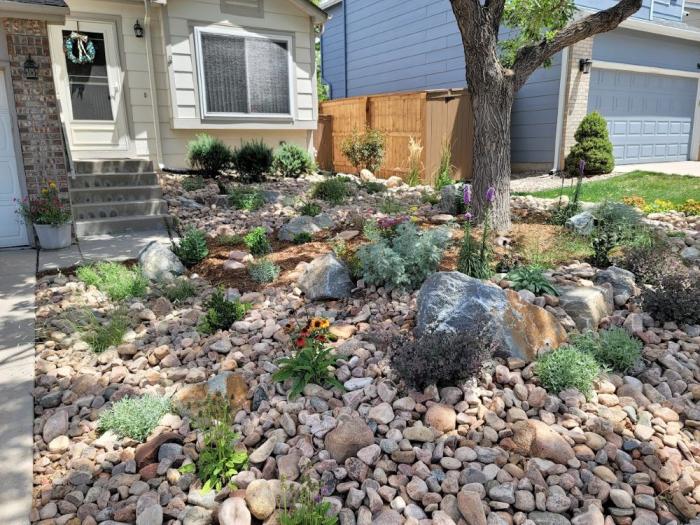 front yard with xeric plants and rocks