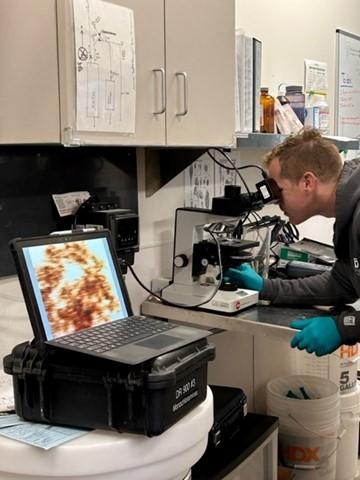 A lab tech looks through a microscope, what he sees is displayed on the screen of a laptop computer on a desk in a lab.