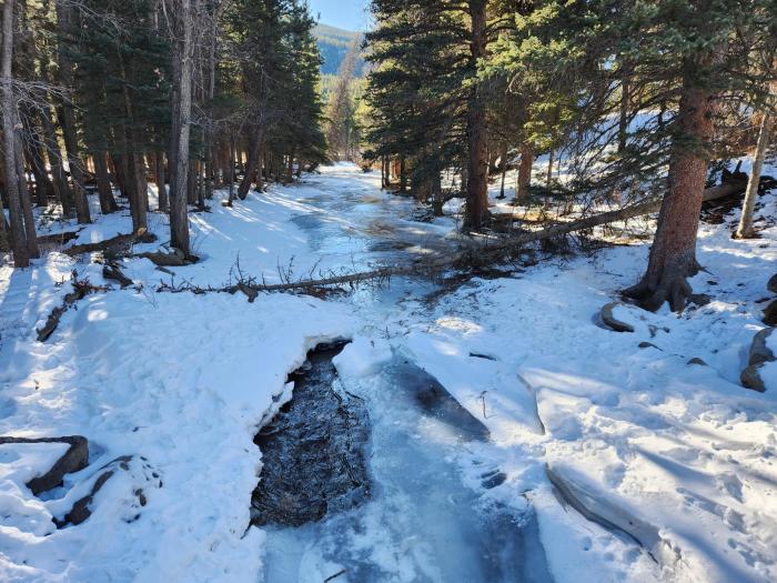 A creek runs through a forests, surrounded by glistening snowbanks and dark trees. 