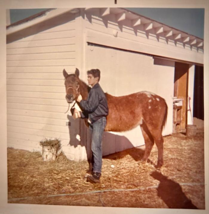 Man stands next to a horse
