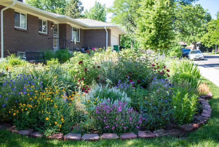 In front of a brick home, a lot of the lawn is taken up by a garden of plants and flowers in all colors. 