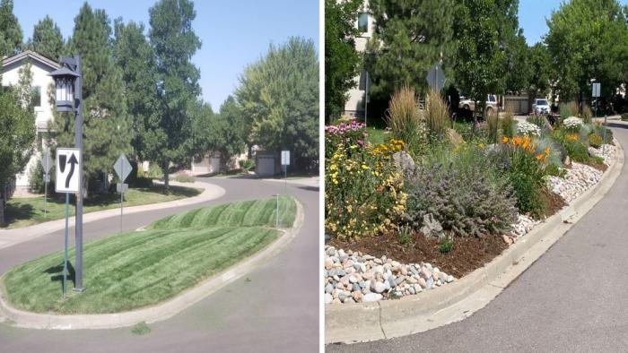 Before-and-after photos of a grassy median and a median with native landscape. 