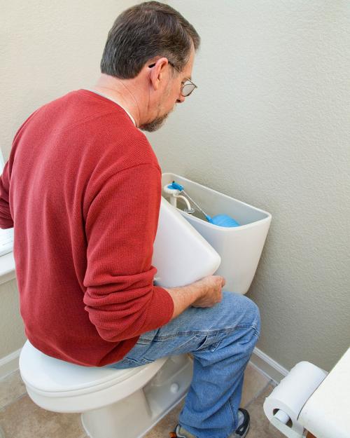 Toilet inspection