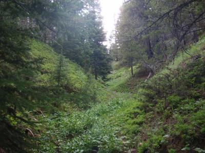 A steep mountain slope cut by a ribbon of green plants.