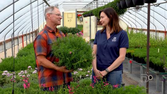 A man and woman talk to each other inside a greenhouse. He's holding a plant in his hands and she's wearing a Denver Water-logoed polo.