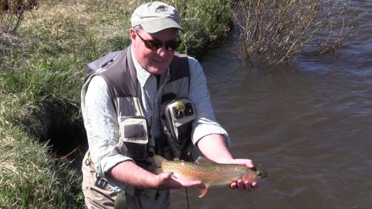 David Bennett, Denver Water's Director of Water Resource Strategy, displays a lunker rainbow trout benefiting from habitat improvements to Fraser Flats west of Winter Park.