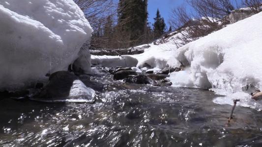 Piles of snow line a creek, with the water flowing over rocks.