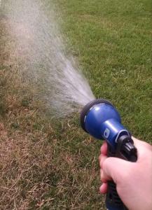 use nozzle to water brown spots.