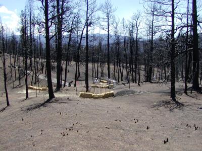 Land near Cheesman Reservoir was severely damaged after the 2002 Hayman Fire.