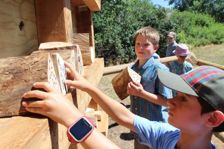 Two boy Scouts place their wood in the bee hotel