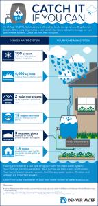 Rain barrels infographic