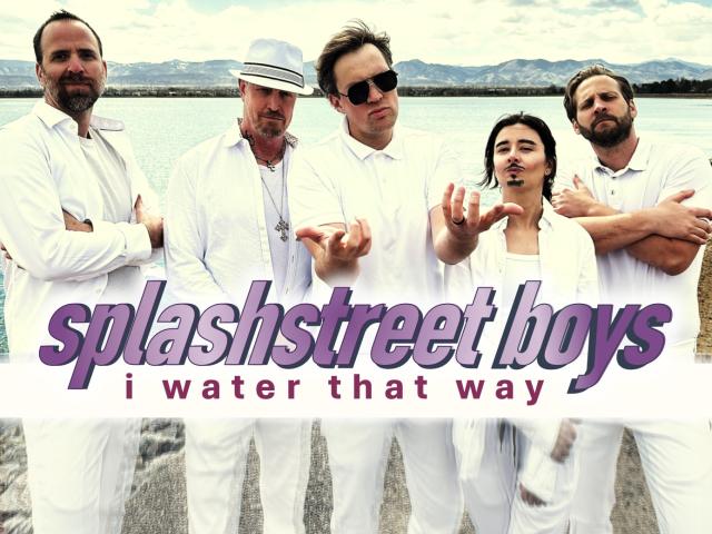 Parody album cover for I Water That Way, a parody of the Backstreet Boys "I Want It That Way"