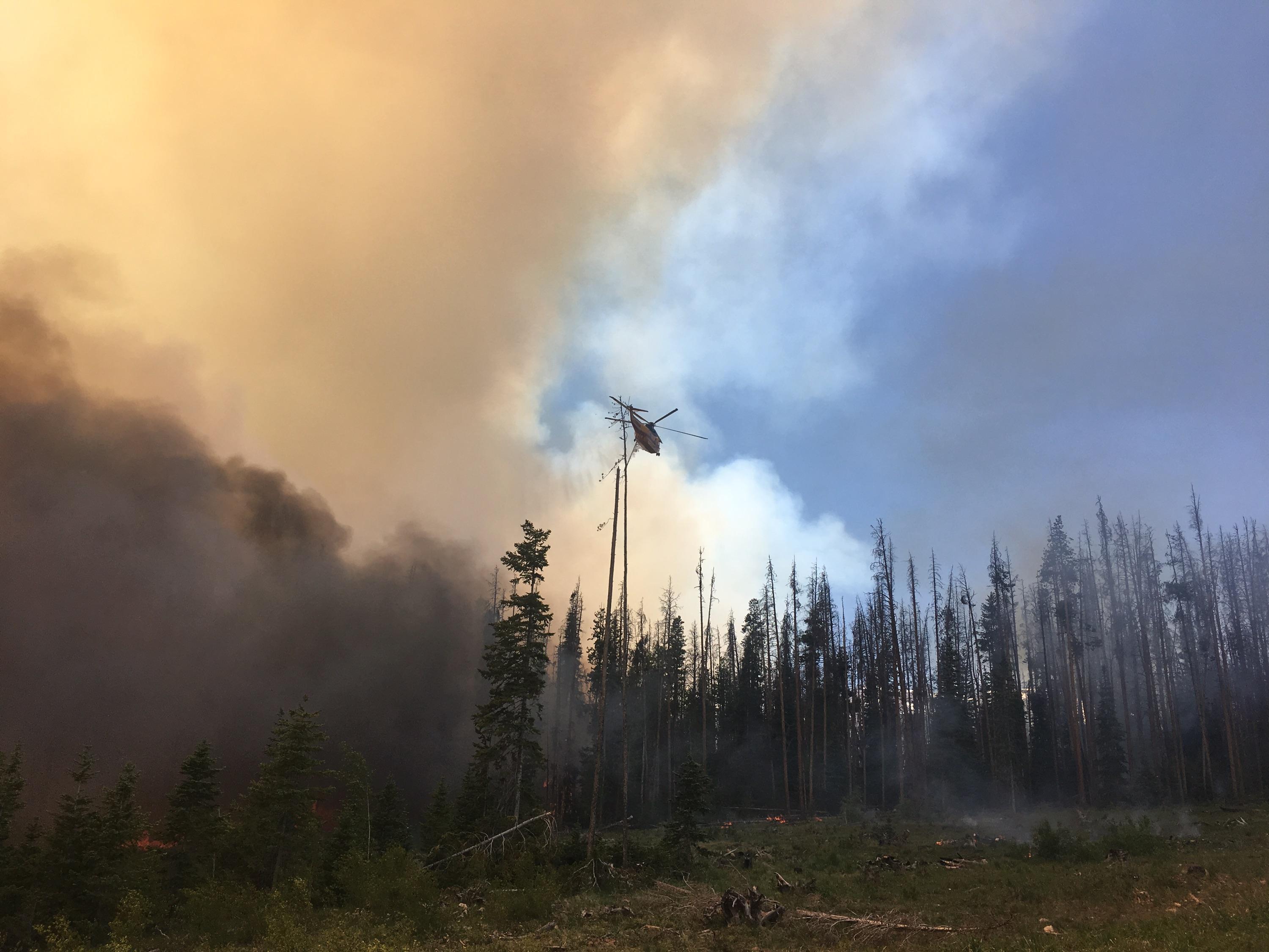 The Buffalo Fire burned 73 acres near Silverthorne, Colorado in June 2018. Credit: USDA Forest Service.