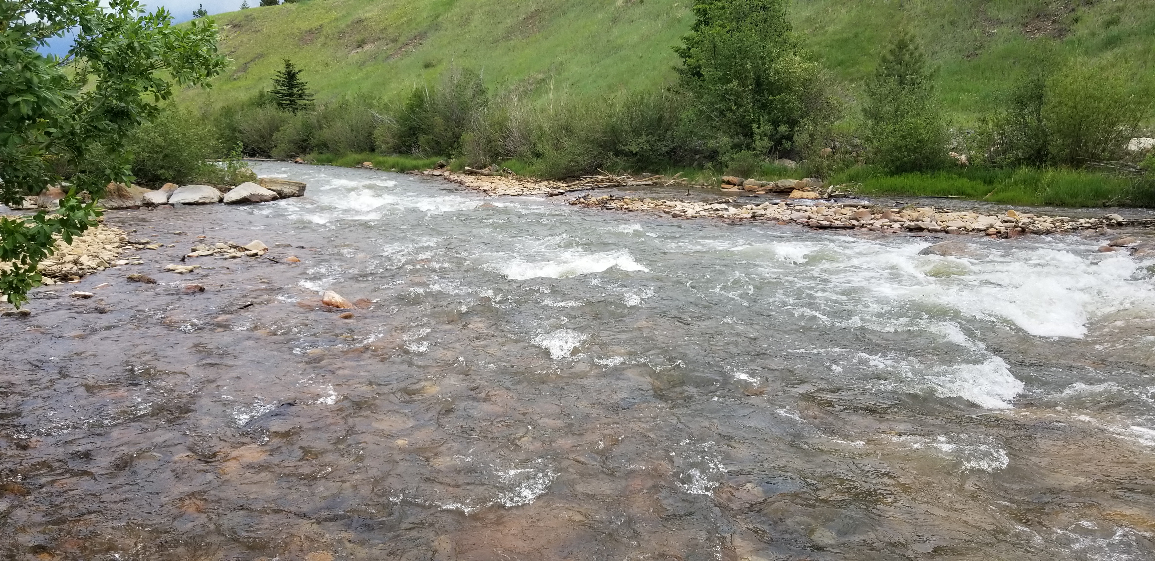 The North Fork of the South Platte River enjoys the high flows produced by big snowpack in 2019.