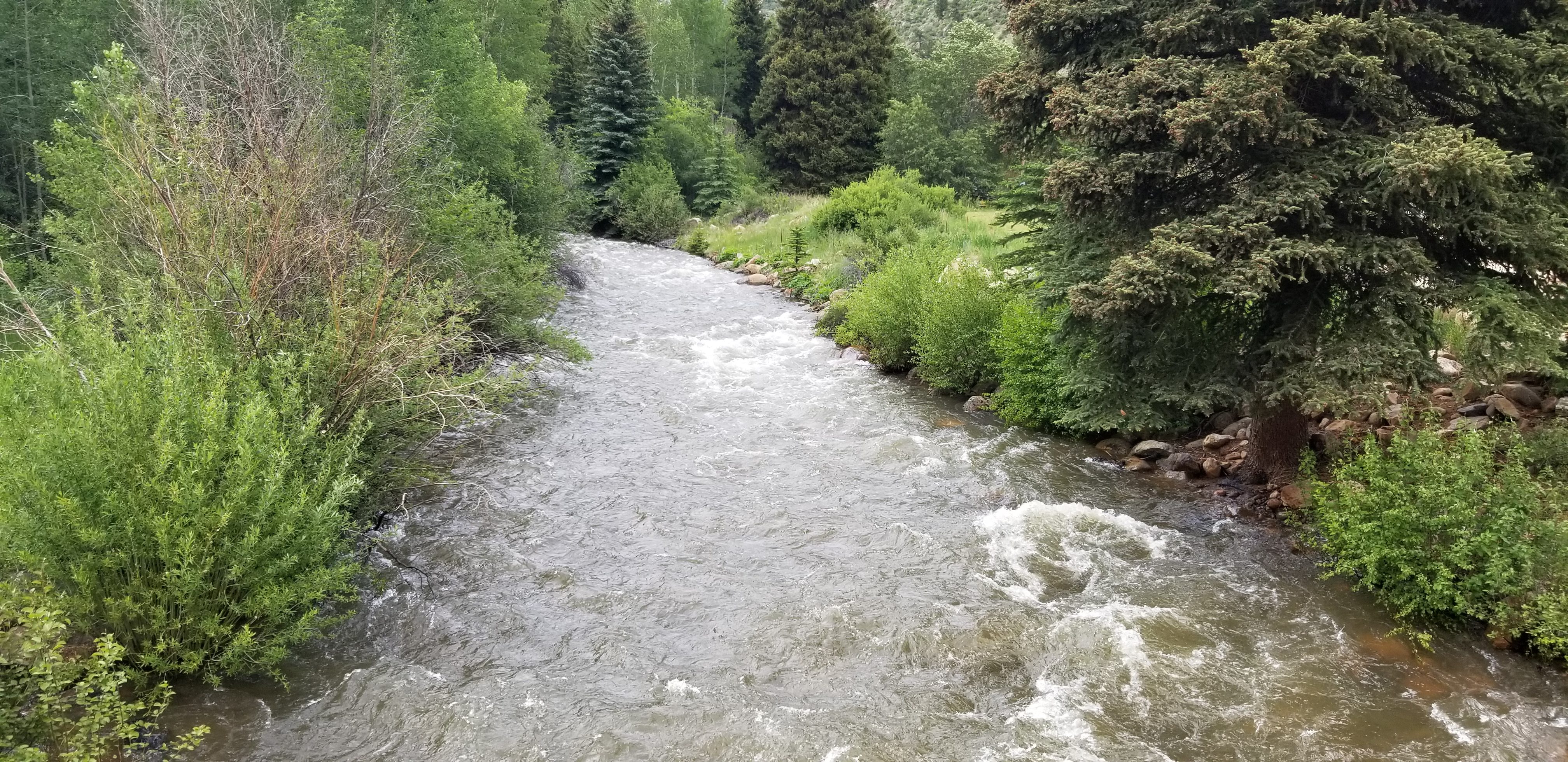 Geneva Creek, a major tributary to the North Fork, boosts the river's flows near Grant.