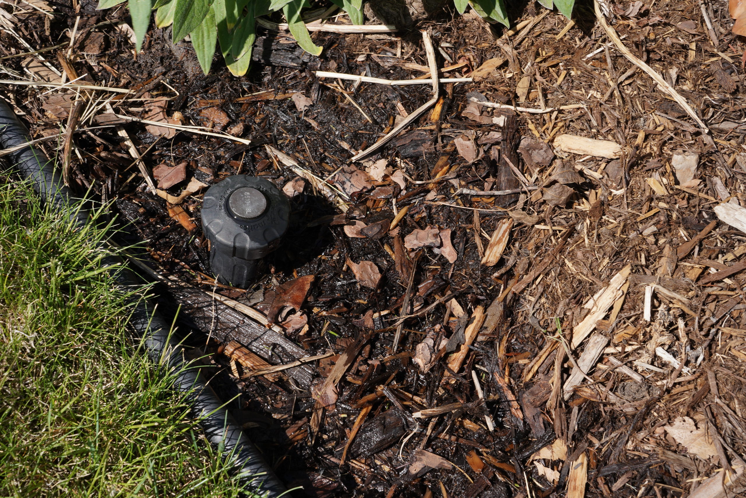 Wet areas around sprinklers can be a sign of a leak in a supply line or connection underground. Photo credit: Denver Water.