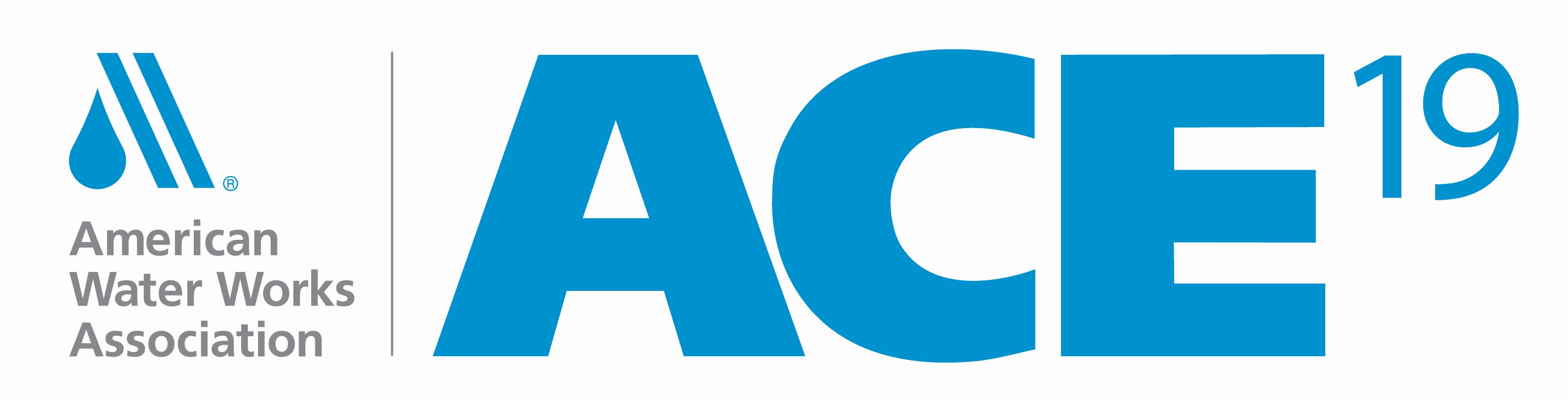 logo for ACE19