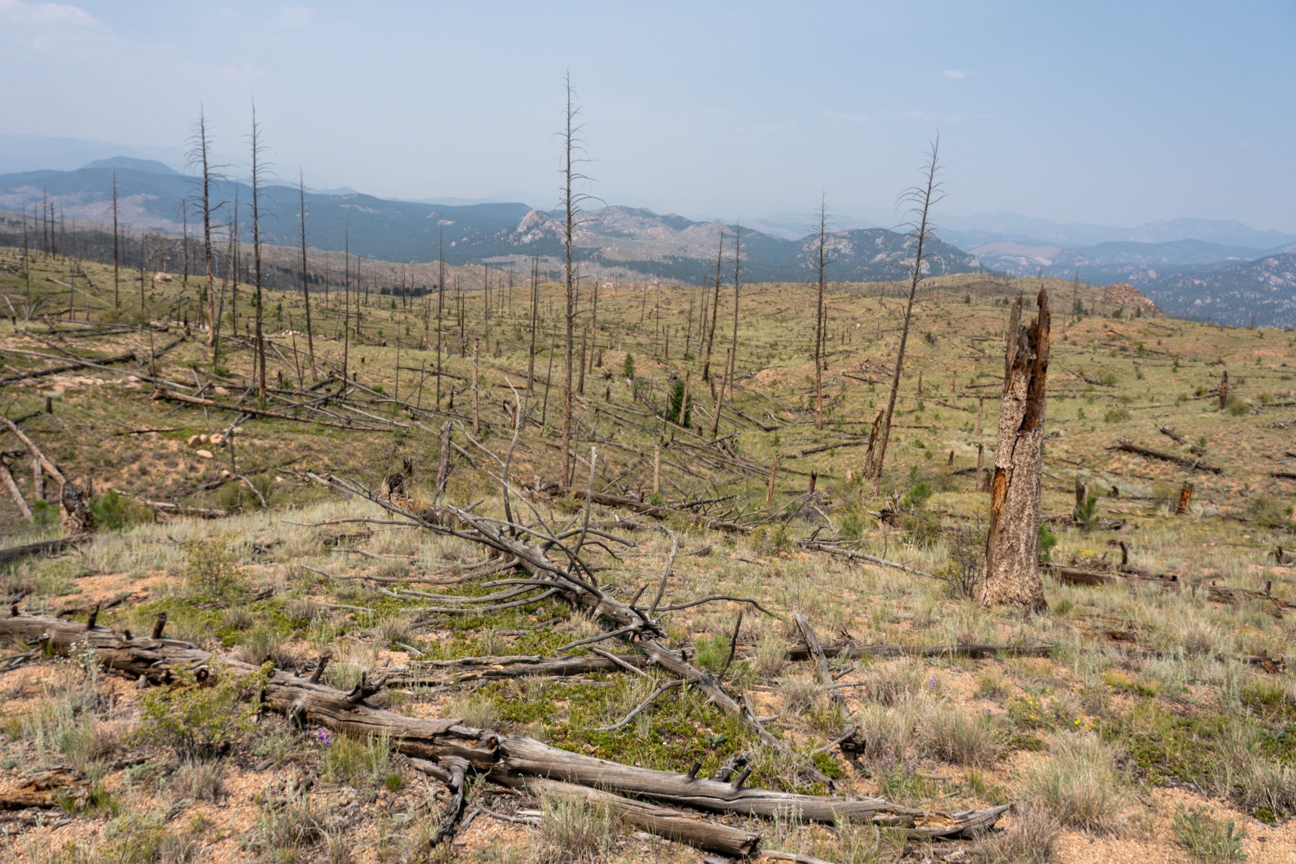The Buffalo Creek Fire in 1996 destroyed 12,000 acres in the Denver Water's South Platte River watershed. Photo credit: Denver Water.